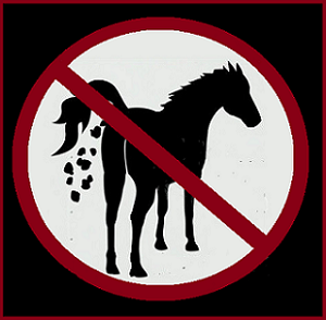 no-horse-shit4r