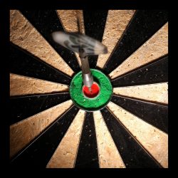 SAM in the Oracle Environment: Hitting a Moving Target for a Compliance Bulls Eye