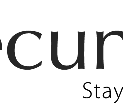 Flexera acquires Secunia. SAM meets cyber security