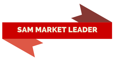 Who is the current market leader for SAM tools for large enterprises?
