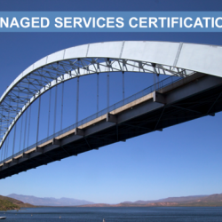 SAM Managed Services Provider Standard V1.0