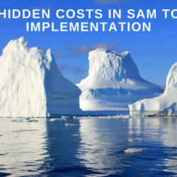 15 hidden costs in SAM tool implementation