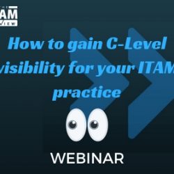 Webinar: How to gain C-Level visibility for your ITAM practice