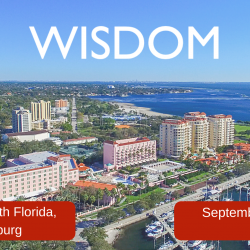 Wisdom US 2020: Our US ITAM conference returns