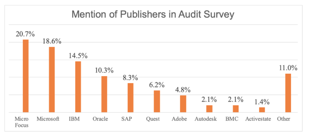 Which software publishers are currently auditing?