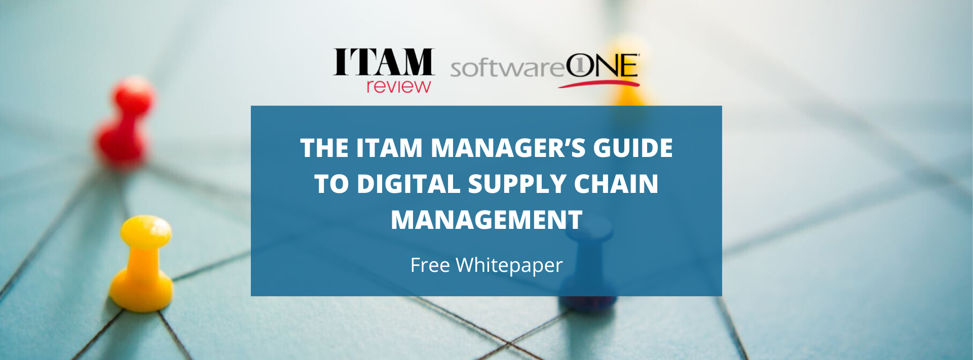 The ITAM Manager's Guide to Digital Supply Chain Management (white paper)