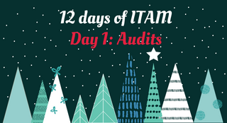 12 days of ITAM: Day 1 - Audits