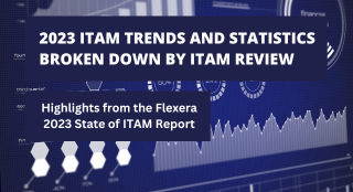 ITAM trends and statistics broken down by ITAM Review